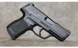 Sig Sauer P365 9MM - 6 of 10