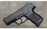 Sig Sauer P365 9MM - 5 of 10