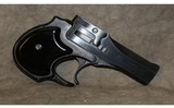 High Standard Derringer 22 Magnum - 4 of 9