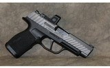 Zev Technologies sig 365 - 3 of 11