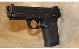Smith & Wesson M&P Shield - 11 of 13