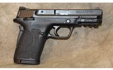 Smith & Wesson M&P Shield - 1 of 13