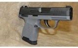 Sig P365 - 6 of 7