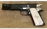 Colt ~ 1911 Government ~ SK Customs ~ Guerrero - 2 of 16