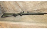 ~ Remington ~ 700 ~ 308 Winchester ~ - 10 of 11