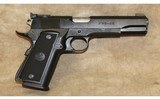 ~ Para Ordinance ~ P14-45 ~ 45 ACP ~ - 1 of 6