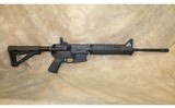 ~ Bushmaster ~ XM15 E2S ~ 5.56 Nato ~