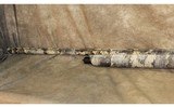 ~ Beretta ~ A300 Ultima ~ 12 Gauge ~ - 5 of 8