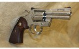 ~ Colt ~ Davidson Special Edition Python ~ 357 Mag ~ - 3 of 6