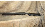 ~ Stoeger ~ M3000 ~ 12 Gauge ~ - 9 of 9