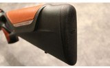 Blaser ~ R8 Professional ~ .300 Winchester Magnum - 10 of 12