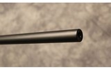 Blaser ~ R8 Professional ~ .300 Winchester Magnum - 5 of 12