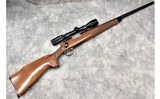 Remington ~ 700 ~ 6mm Remington - 1 of 13