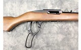 Ruger ~ Ninety-Six ~ .17 HMR - 13 of 13