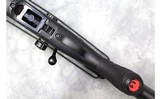 Ruger ~ American ~ .17 HMR - 12 of 13