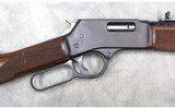 Henry ~ Big Boy Steel ~ .45 Long Colt - 3 of 12