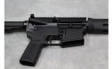 Bushmaster XM15-E2S - 10 of 12