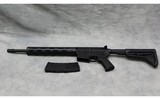 Ruger AR-556 (300 AAC Blackout)