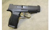 Sig Sauer P365 ~9MM Luger~ - 3 of 3