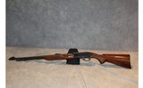 Remington 522 ~.22 Long Rifle~ - 1 of 10