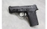 Smith & Wesson 9 Shield EZ ~9mm Luger~