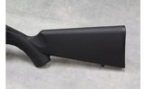 Savage A22 ~.22 Long Rifle~ - 10 of 10