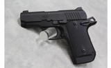 Kimber Micro 9 ~9mm Luger~