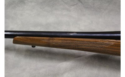 CZ 550 ~.243 Winchester~