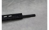 Ruger AR-556 ~.450 Buchmaster~ - 10 of 11