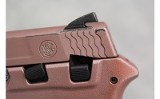Smith & Wesson Bodyguard ~.380 Auto~ - 3 of 6
