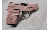 Smith & Wesson Bodyguard ~.380 Auto~ - 4 of 6