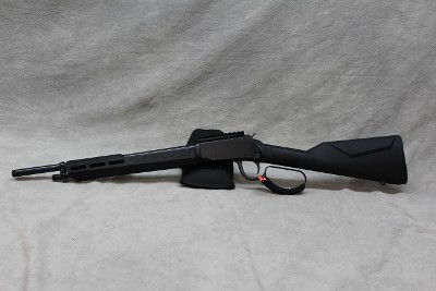 Rossi Rio Bravo ~.22 Long Rifle~