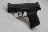 Sig Sauer P365 ~9mm Luger~ - 1 of 1