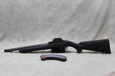 Ruger 10/22 ~.22 Long Rifle~