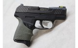 Ruger Max-9 ~9mm Luger~ - 2 of 3