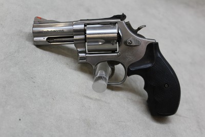 Smith & Wesson 696 ~.44 Magnum~