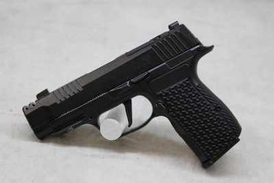 Sig Sauer P365 ~ .380 ACP ~
