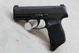 Sig Sauer P365 ~9mm Luger~ - 1 of 1