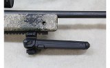 Remington 700 ~.308 Winchester~ - 10 of 12