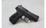 Ruger Max-9 ~ 9mm Luger~ - 2 of 2