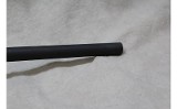 Ruger 10/22 ~.22 Long Rifle~ - 9 of 10