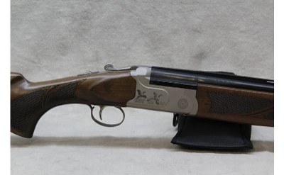 Arthemis- Kahn Pointer ~ 12 gauge ~ - Image 8 of 8
