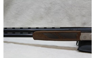 Arthemis- Kahn Pointer ~ 12 gauge ~ - Image 4 of 8