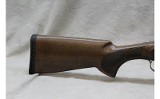 Arthemis- Kahn Pointer ~ 12 gauge ~ - Image 7 of 8