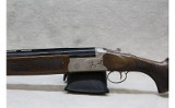 Arthemis- Kahn Pointer ~ 12 gauge ~ - Image 3 of 8