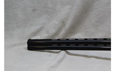 Arthemis- Kahn Pointer ~ 12 gauge ~ - Image 5 of 8