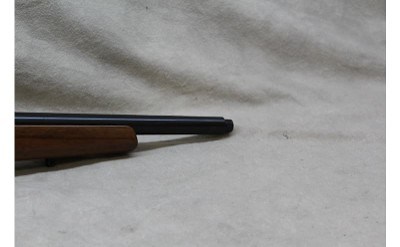 CZ 452-2EZKM ~.17 HMR~ - Image 9 of 10