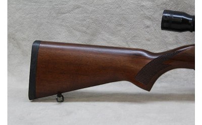 Ruger 10/22 ~.22 Long Rifle~ - Image 6 of 10