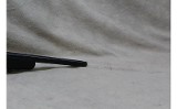 CZ 455 ~.17 HMR~ - Image 10 of 10
