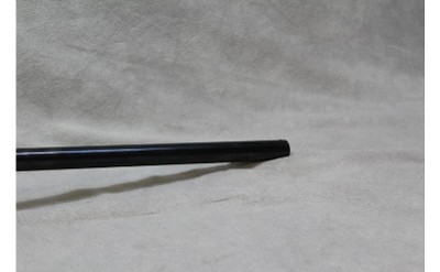 Webley & Scott Single Barrel ~12 Gauge~ - Image 9 of 10